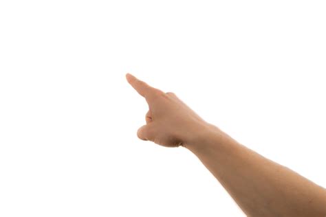 POINT OUT .